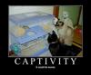 captivity