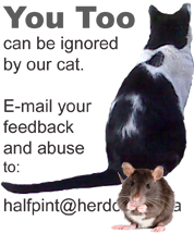 Contact Our Rat