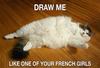 Furball_DrawMeMeme