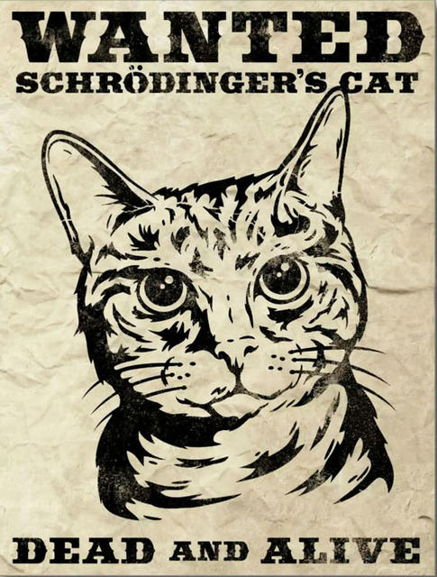 Reward_Schroedinger