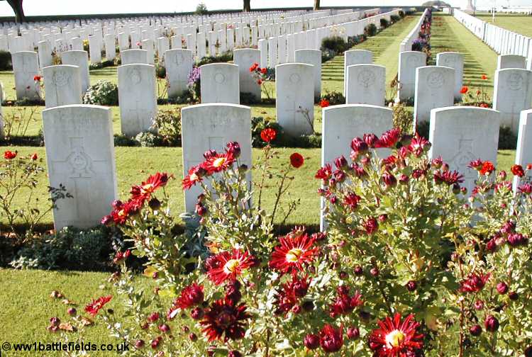 poppies-graves