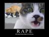 Cat Rape