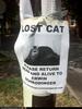 Schrodinger's lost cat